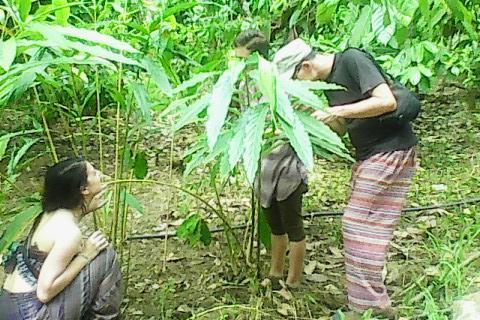 Sunleo Spice Villas & Homestay Munnar Buitenkant foto